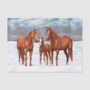 Buscar castañas papel de seda Marrón claro