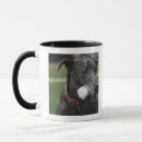 Buscar great dane tazas Animal
