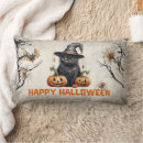 Buscar gato asustado cojines Para todos