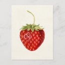Buscar fragancia postales Vintage