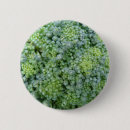 Buscar cultivo chapas Verduras