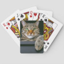 Buscar ojos verdes barajas de cartas Gatito