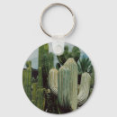 Buscar tucson arizona llaveros Saguaro