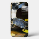 Buscar tortuga ipad fundas Lindo