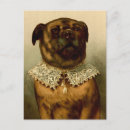 Buscar isabelino Perro