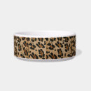 Buscar fauna mascotas Gato