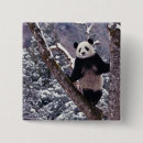 Buscar gigante chapas Medio ambiente