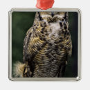 Buscar pájaro grande adornos Pájaro de presa