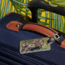 Buscar kodiak accesorios Animal