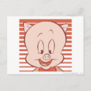Buscar porky postales Cerdo
