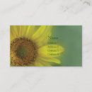 Buscar girasol tarjetas de visita Marrón
