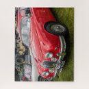 Buscar salones puzzles Coche
