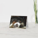 Buscar perro durmiendo tarjetas Cachorro