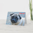 Buscar domesticado tarjetas Perro