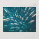 Buscar animales en el salvaje postales Bajo el agua