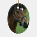 Buscar castaña adornos Ecuestre