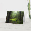 Buscar tronco de árbol tarjetas Maderas