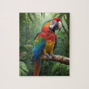 Buscar loro puzzles Jungla