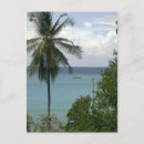 Buscar ancla postales Vela