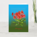 Buscar portugues tarjetas Flores
