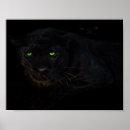 Buscar ojo posters Animal