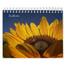 Buscar girasoles calendarios Flores