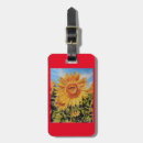 Buscar monederos accesorios General y unisex