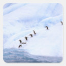Buscar pete pegatinas Península antártica