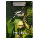 Buscar carpeta fotografía Naturaleza