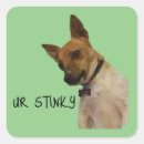 Buscar stinky Humor