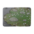 Buscar lilypad Fotografía