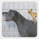 Buscar great dane pegatinas Naturaleza