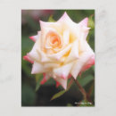 Buscar diane postales Para ella