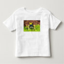 Buscar dendrobates camisetas Amarillo