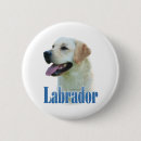 Buscar laboratorio amarillo accesorios Recuperador de labrador