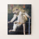 Buscar pensamientos puzzles Naturaleza