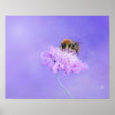 Buscar encaramado posters Naturaleza