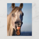 Buscar risa postales Humor