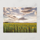 Buscar queensland postales Flor