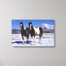 Buscar pie lienzos Nieve