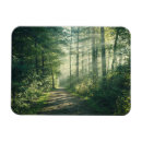 Buscar hamburgo imanes Bosque
