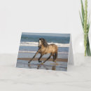 Buscar andaluz tarjetas Bob langrish