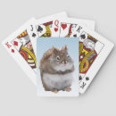 Buscar ardillas barajas de cartas Animales