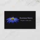 Buscar margaritas azules tarjetas de visita Flor