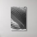 Buscar hojas blancos y negros lienzos Abstracto