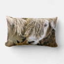 Buscar ovejas cojines Animales de granja