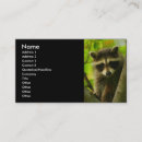 Buscar mapaches tarjetas de visita Lindo