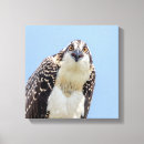 Buscar juveniles lienzos Azul