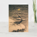 Buscar bonsais postales Para todos