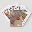 Buscar pájaro cardinal barajas de cartas El birding